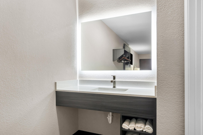Bathroom 4, Americas Best Value Inn Bishopville, Lee