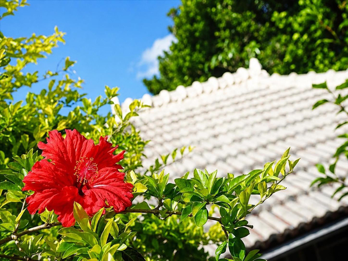 Exterior & Views 1, Ishigaki Guesthouse HIVE, Ishigaki