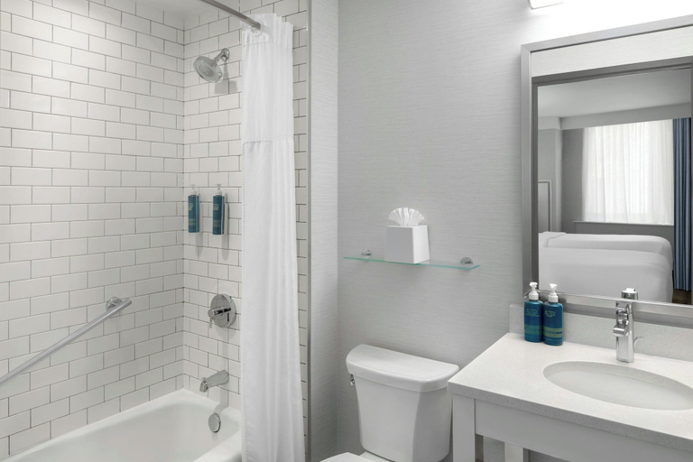 Bathroom 4, Four Points By Sheraton New York Downtown, New York