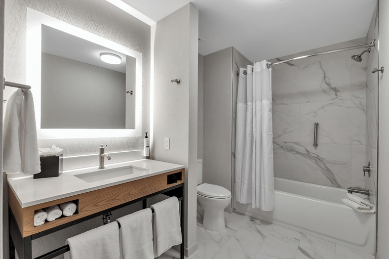 Bathroom 4, Embassy Suites Buffalo, Erie
