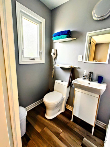 Bathroom 2, Salmon River Motel, Hastings