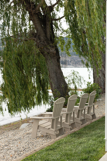 Property grounds 2, The Point on Wood Lake, Central Okanagan