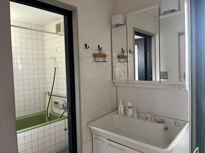 Bathroom, Hostel Five, Kōchi