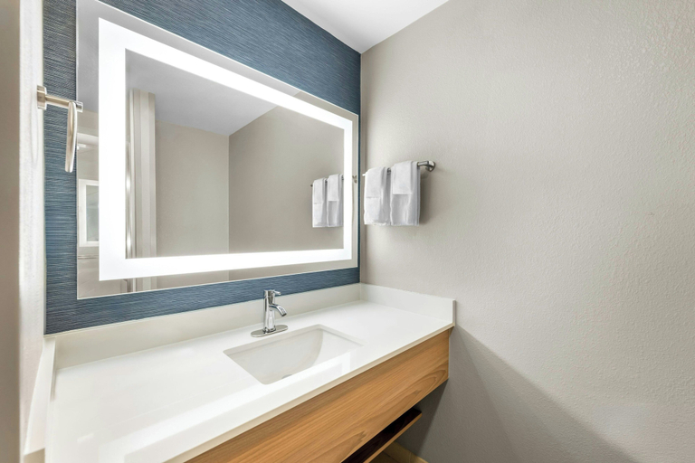 Bathroom 4, Fairfield Inn & Suites by Marriott Gadsden, Etowah