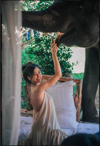 Others 2, 3Pok wake with elephants , Mae Wang