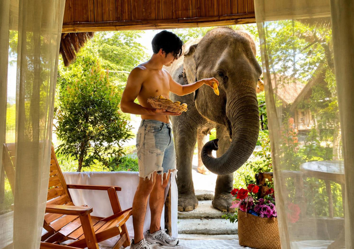 Others 5, 3Pok wake with elephants , Mae Wang