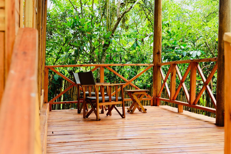 Others 3, Kibale Tourist Safari Lodge, Kibale