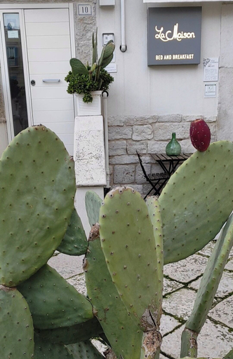 Exterior & Views 2, La Maison, Barletta-Andria-Trani