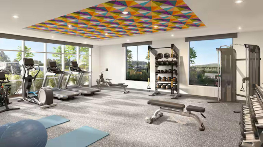 Gym/fitness, Home2 Suites By Hilton Benton Harbor, Berrien