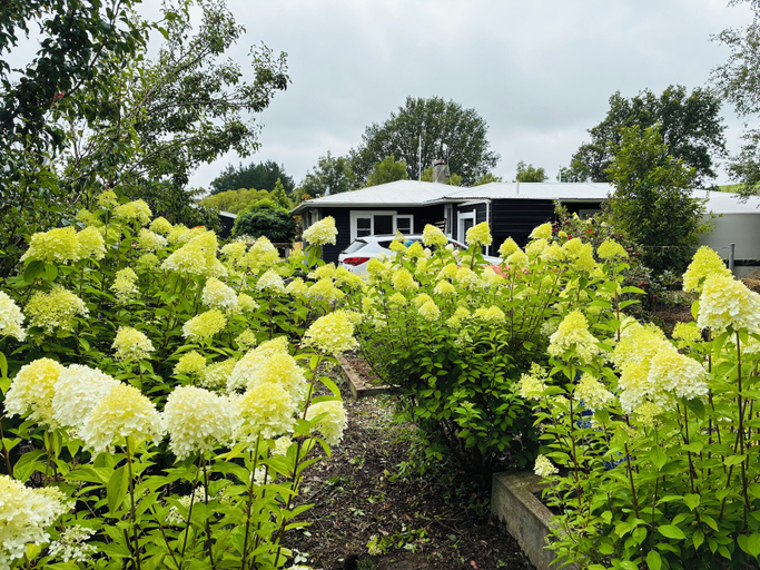 Property grounds 3, The Black Barn At Puketitiri, Hastings