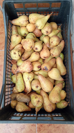 Food & Drinks 5, Sardinia Eco Vegan House, Oristano