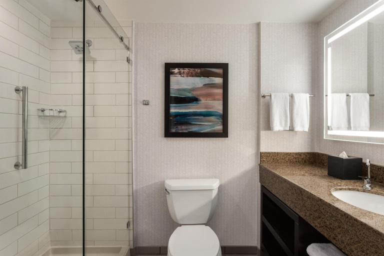Bathroom 4, Embassy Suites by Hilton Atlanta at Centennial Oly, Atlanta