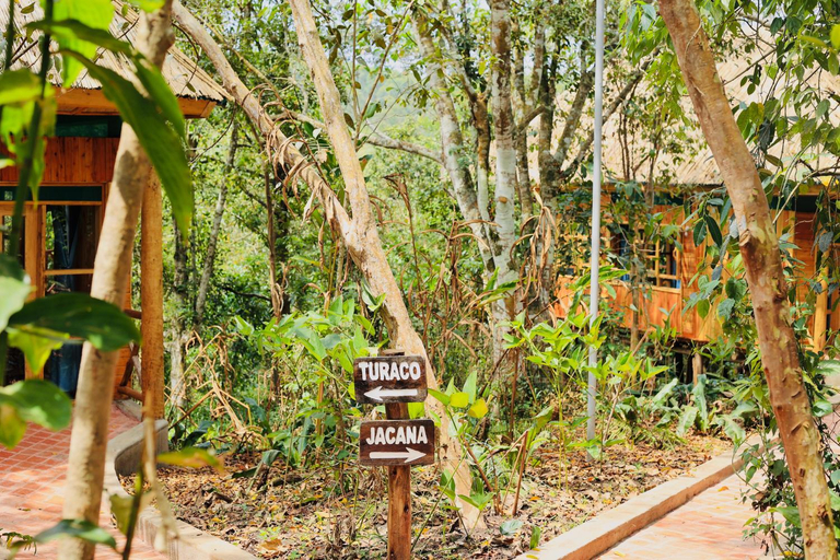 Others 5, Kibale Tourist Safari Lodge, Kibale