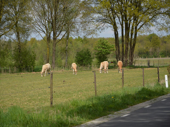 Others 5, Holiday Home in Stramproy near Nature, Weert