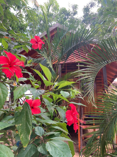 Others 5, River Point Cabana, Pothuvil