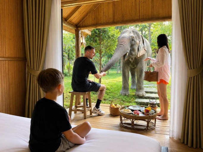 Others 3, 3Pok wake with elephants , Mae Wang