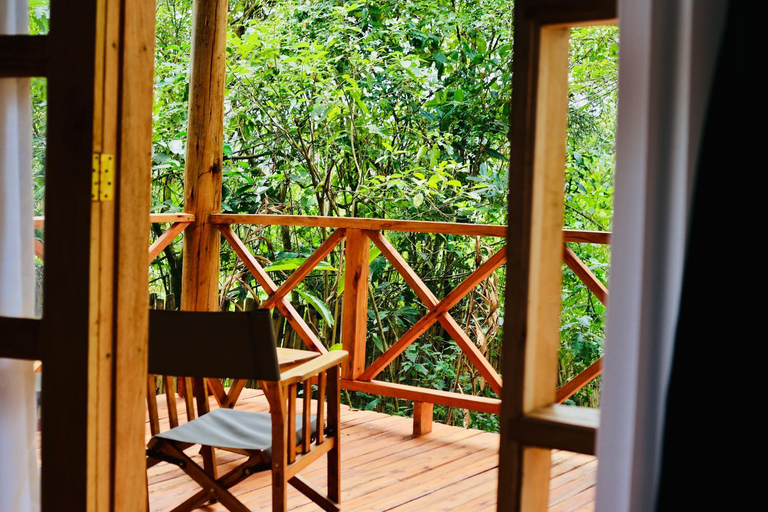 Others 4, Kibale Tourist Safari Lodge, Kibale
