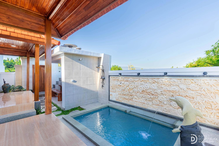 Swimming pool 2, Deepa Villa Lovina, Buleleng