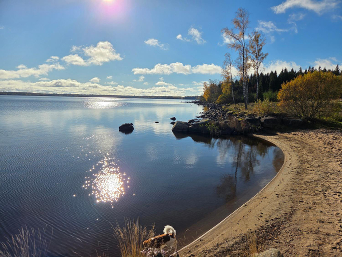 Others 4, B & B Flattinge Fritidshus, Ljungby