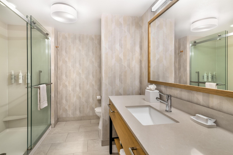 Bathroom 4, Hampton Inn Schenectady Downtown, Schenectady