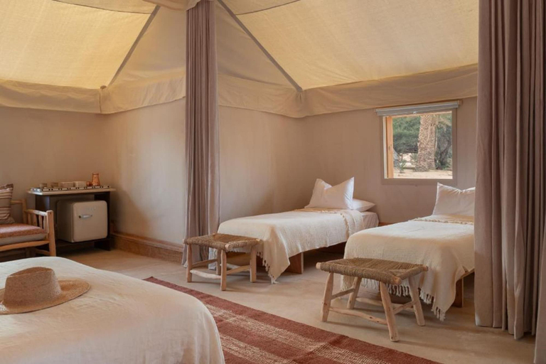 Bedroom 4, Moa Living