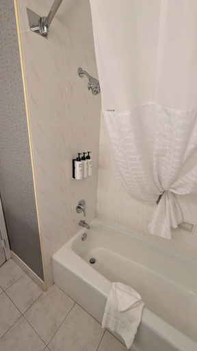 Bathroom 4, Wyndham Visalia, Tulare