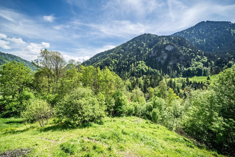 Others 2, Chalet Elisthur, Haute-Savoie