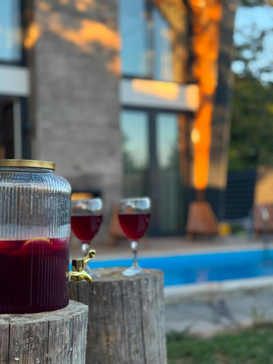 Food & Drinks 5, Orange Villa with private pool, Sarajevo