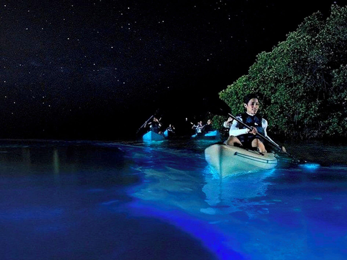 Kayaking, Piscis Art by ÓOL Hotels, Lázaro Cárdenas