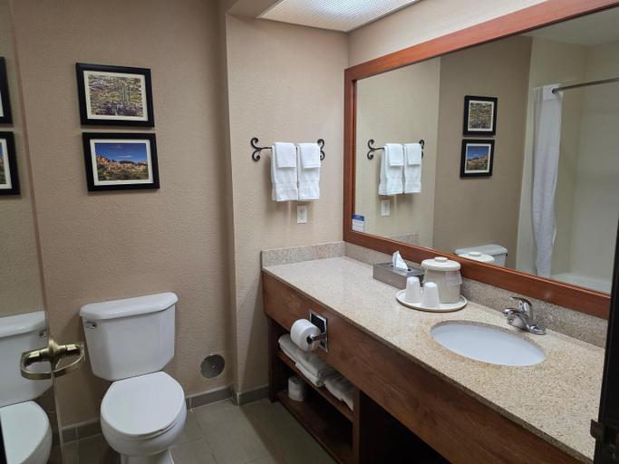 Bathroom 4, Comfort Inn Benson near Kartchner Caverns, Cochise