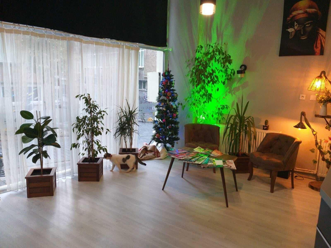 Public Area 2, Zion Home Butik Otel, Kadıköy