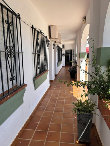 Property grounds, Hotel Apolo XI, Cádiz