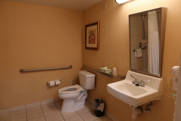 Bathroom 3, GreenTree Hotel Phoenix West, Maricopa
