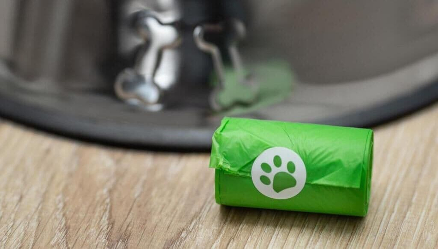 Pet-friendly amenities, MARGI Liva Apartament, Szczecin