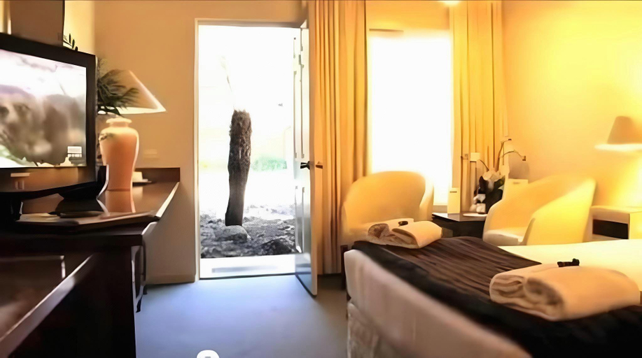Bedroom 5, Clayton Monash Motor Inn & Serviced Apartments, Melbourne
