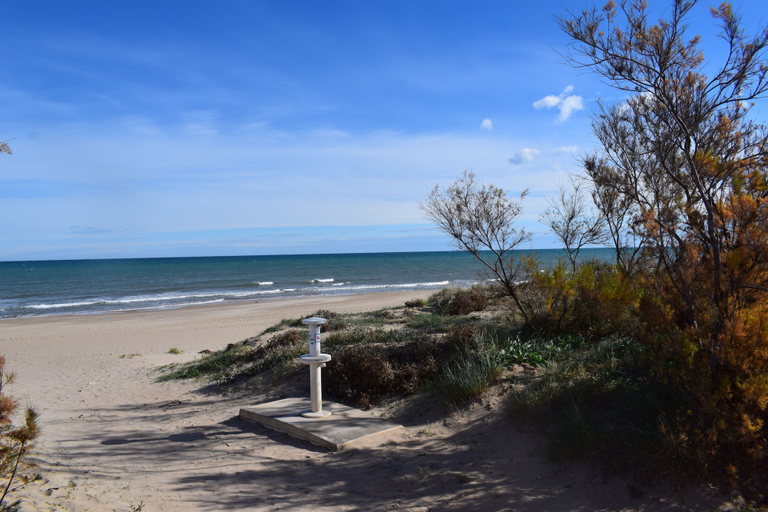 Room 4, Ap602 in Oliva With 3 Bedrooms and 1 Bathrooms, Valencia