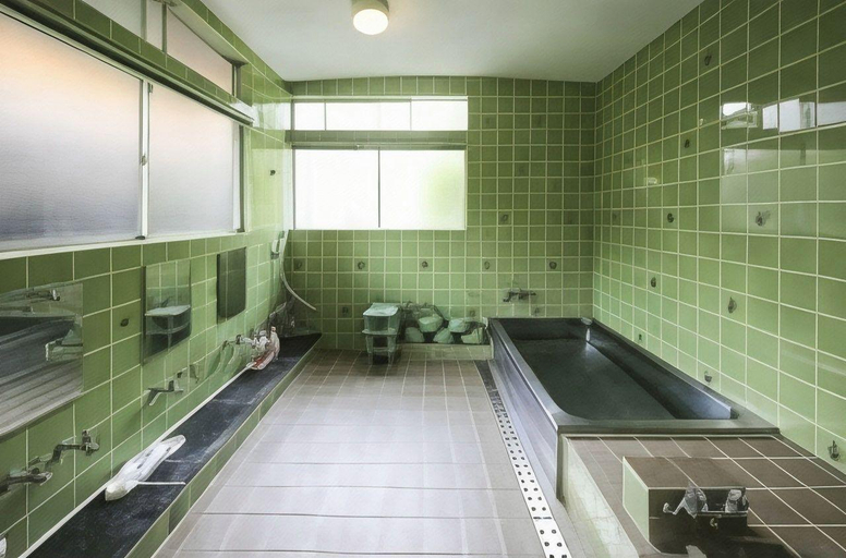 Bathroom, Maehira, Tenkawa