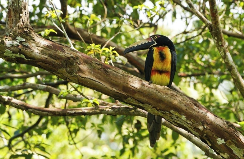 Miscellaneous, HOME PANAMÁ, Panamá