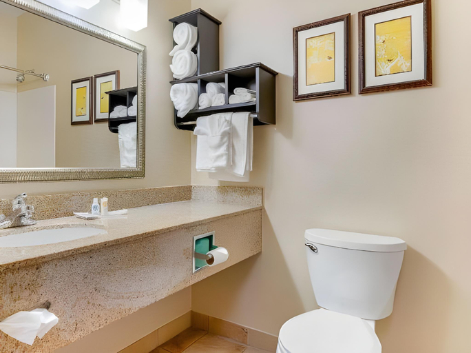 Bathroom 3, Comfort Suites Southfield/Detroit, Oakland