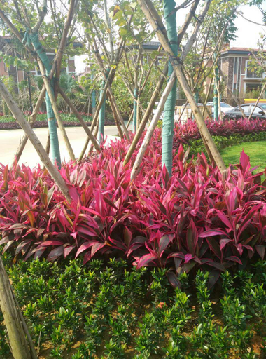 Others 4, Kerry Meisu (Shenzhou Peninsula Branch)(嘉里美宿公寓(神州半岛店)), Hainan