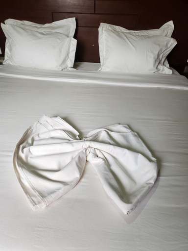 Bedroom 2, Hotel Residence Madadjeu, Mfoundi