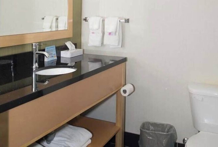 Bathroom, Western Star All Suites Carnduff, Division No. 1