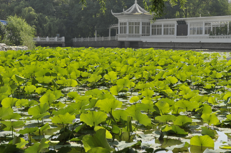 Exterior & Views, Ningwozhuang Hotel (Building 1), Lanzhou