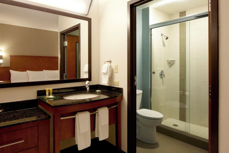 Bathroom 5, Hyatt Select Richmond Airport, Henrico