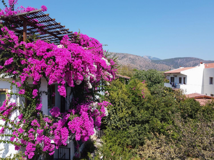 Exterior & Views 1, Liman Pansiyon & Guesthouse, Datça