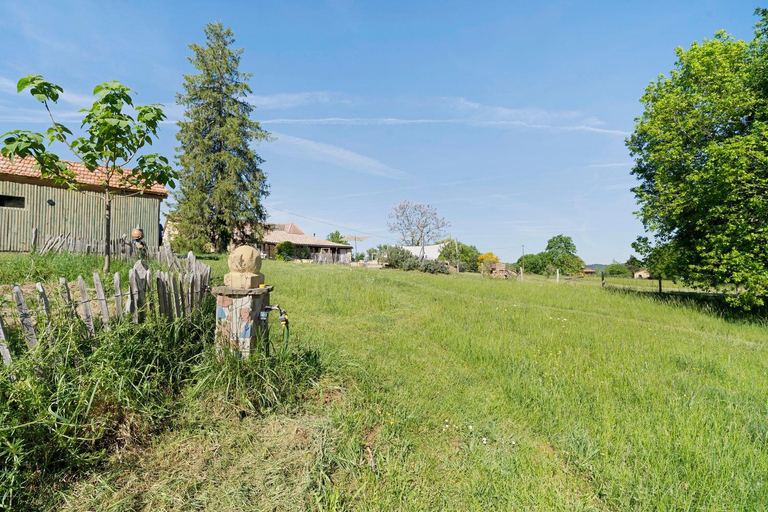 Others 5, Les Orchidees - Chambre, Dordogne