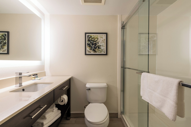Bathroom 4, Franklin Extended Stay Hotel, Norfolk