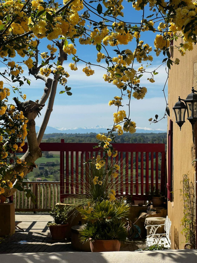 Others 4, Le Patio Tursan, Landes