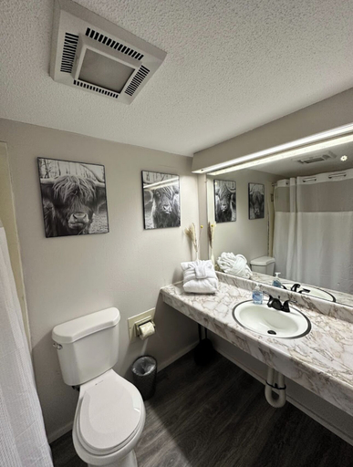 Bathroom 3, Timber Ridge Lodge - Walking Distance from Downtown Gatlinburg, Sevier