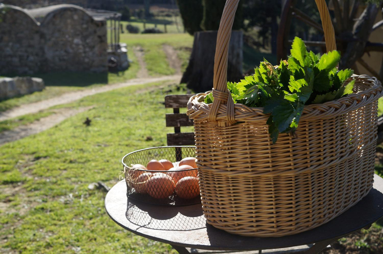 Food & Drinks, Mas Roquet, Girona